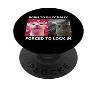 Born To Dilly Dally Forced To Lock In Cat Meme PopSockets Adhesive PopGrip