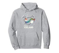 Born to Explore Iceland Adventure Northern Lights Graphic Pullover Hoodie, Adult Unisex, Heather Grey, S