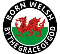 "BORN WELSH BY THE GRACE OF GOD" VINYL STICKER - Ideal for car, scooters, school books, mirrors, laptops, fridges
