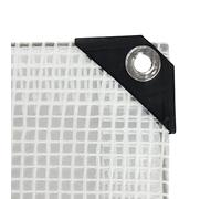 Bortaberg Heavy Duty Tarpaulin, Clear Waterproof Cover with Reinforced Eyelets, 300g/m² PE Sheet for Garden Camping Construction ([m]2x3 || 6.6'x9.8')