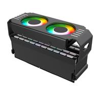 Bortivier PC Case RAM Memory Module ARGB Cooler DDR3 to DDR5 5V 3Pin PWM 4Pin Light Sync 120mm Dual Fans Cooling Radiator Black