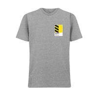 Borussia Dortmund Classic Football Shirt Colours Frame Men's T-Shirt - Gray / L