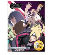 Boruto: Naruto Next Generations - Shadow of the Curse Mark (DVD)