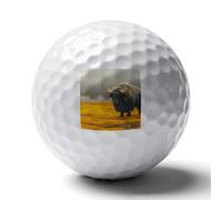 Bos Mutus in The Yellow Tundra Personalized Golf Balls Gifts for Men Golfers Distance Straighter Shots