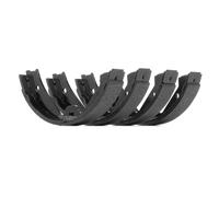 BOSCH 0 204 113 830 Brake Shoe Set