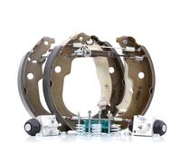 BOSCH 0 204 114 193 Drum brake kit