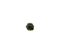 BOSCH 0 281 006 160 Fuel pressure sensor