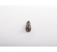 BOSCH 0 432 191 258 Nozzle and Holder Assembly