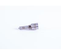 BOSCH 0 433 172 244 Nozzle