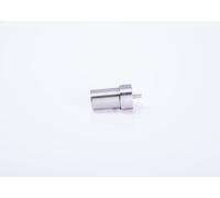 BOSCH 0 434 250 103 Nozzle Body