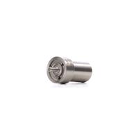BOSCH 0 434 250 159 Nozzle Body