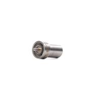BOSCH 0 434 250 167 Nozzle Body