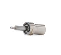 BOSCH 0 434 250 171 Nozzle Body