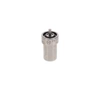 BOSCH 0 434 250 174 Nozzle Body