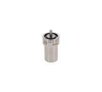 BOSCH 0 434 250 192 Nozzle and Holder Assembly