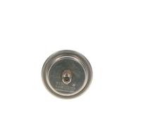 BOSCH 0 438 170 055 Pressure Tank, fuel supply