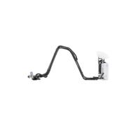 BOSCH 0 580 202 029 Petrol pump