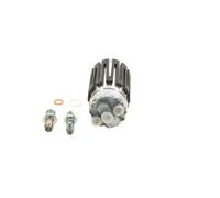 BOSCH 0 580 464 206 Petrol pump