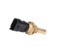 Bosch Coolant Temperature Sensor 0281002169