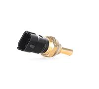 Bosch Temperature Sensor 0281002170