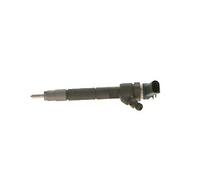 Bosch 0445110166 Fuel Injector Nozzle