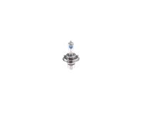 BOSCH 1 987 301 425 Bulb, headlight for ,ABARTH,ALFA ROMEO,AUDI,AUSTIN,AUTOBIANC