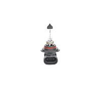 Bosch Pure/Lt Blb9006 Hb4 12V 51W P22D 1987302153