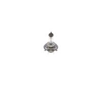 BOSCH 1 987 302 441 Bulb, headlight for ,DAF,GAZ,IRISBUS,IVECO,KAMAZ,MAN