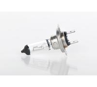 Bosch Truck/Lt Max 499 H7 24V 70W PX26D - 1987302772
