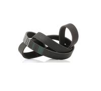 V-belt set BOSCH 1 987 947 560 for TOYOTA