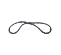 BOSCH 1 987 947 618 V-Belt