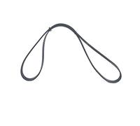 Bosch 1 987 947 868 Poly Rib Belt