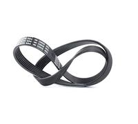 Bosch 6PK894 - Ribbed V-belt - 1987947935