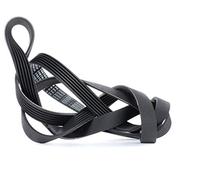 Bosch 1 987 947 956 Poly Rib Belt