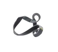 Multi-ribbed V-belt 1 987 948 342 BOSCH for FORD PEUGEOT CITROËN FIAT MAZDA MINI