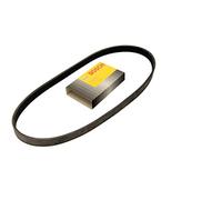 Bosch 1 987 948 479 Poly Rib Belt