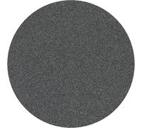 Bosch 10 x PRO Plastic and Hard Stone F355 Sanding Sheets (for Concrete, Hard Stone, Diameter 125 mm, Grit 120, Professional Accessories, Small Angle Grinder)