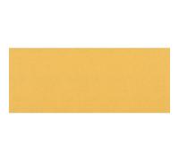 Bosch 10x EXPERT C470 Sandpaper with no holes | for Paint on wood, Hardwood, Ø 93x230 mm, Grit 120, Professional Accessory Orbital Sander