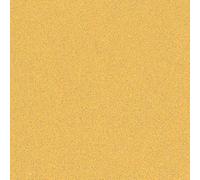 Bosch 10x EXPERT C470 Sandpaper with no holes | for Paint on wood, Hardwood, Ø 93x230 mm, Grit 80, Professional Accessory Orbital Sander