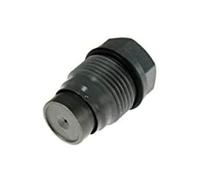 Bosch Pressure Limiting Valve 1110010028
