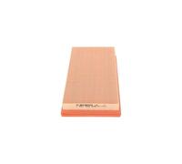 BOSCH 1 457 433 276 Air filter