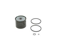 Bosch 1457434201 Fuel Filter (N4201)