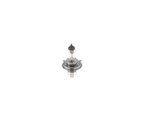 Bosch Truck/Lt Max 475 H4 24V 75/70W P43T - 1987302742