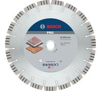 Bosch 2608602647 300x20/25.4mm Diamond Disc Best Stone HPP