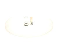 BOSCH 2 447 010 017 Fuel filter