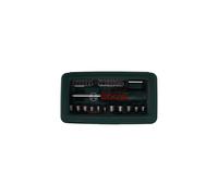 Bosch 46 Piece Screwdriver Bit Set Ratchet Driver Magnetic Holder Hard Case