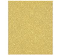 Bosch Professional 1x Expert C470 Sandpaper (for Hardwood, Paint on wood, 230x280 mm, Grit 240, Accessories Hand Sanding)