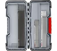 Bosch 30 x 100mm PRO Wood & Metal Rough Cut Set 2607011946 Heavy Duty