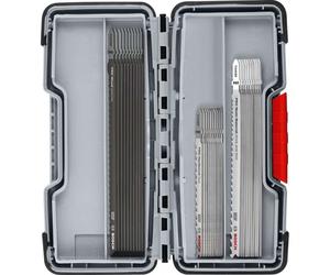 Bosch 30 x 100mm PRO Wood & Metal Rough Cut Set 2607011946 Heavy Duty