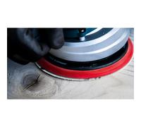Bosch 50x EXPERT M480 Sanding Net (for Paint on wood, Hardwood, Ø 125 mm, Grit 80, Professional Accessory Random Orbital Sander, Orbital Sander)